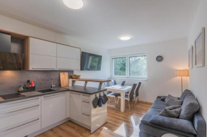 Apartmán Černá v Pošumaví